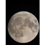 Zdjęcia użytkowników Honor Magic5 Pro