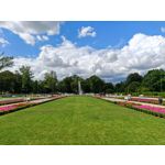 Zdjęcia użytkowników Honor Magic5 Pro