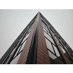 Zdjęcia użytkowników Honor Magic6 Lite 5G