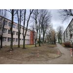Zdjęcia użytkowników Honor Magic6 Lite 5G