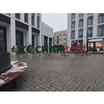 Zdjęcia użytkowników Honor Magic6 Lite 5G