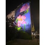 Zdjęcia użytkowników Honor Play