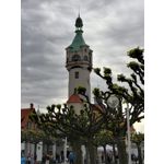 Zdjęcia użytkowników Honor View 10