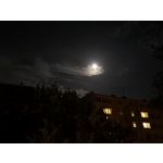 Zdjęcia użytkowników Honor View 10