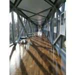 Zdjęcia użytkowników Honor View 20