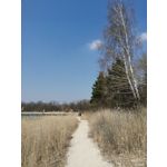 Zdjęcia użytkowników Honor View 20