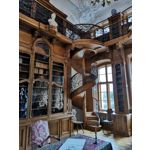 Zdjęcia użytkowników Honor View 20