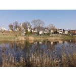 Zdjęcia użytkowników Honor View 20