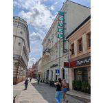 Zdjęcia użytkowników Honor 200 Pro