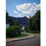 Zdjęcia użytkowników Honor 200 Pro