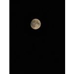 Zdjęcia użytkowników Honor 200 Pro