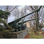 Zdjęcia użytkowników Honor 200 Pro