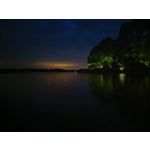 Zdjęcia użytkowników Honor 400 Pro