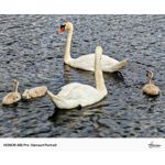 Zdjęcia użytkowników Honor 400 Pro