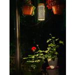 Zdjęcia użytkowników Honor 400 Pro