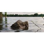 Zdjęcia użytkowników Honor 400 Pro