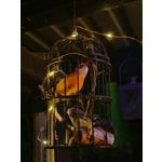 Zdjęcia użytkowników Honor 400 Pro