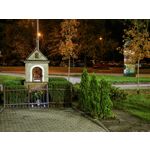 Zdjęcia użytkowników Honor Magic V5