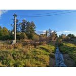 Zdjęcia użytkowników Honor Magic V5