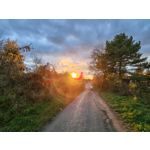 Zdjęcia użytkowników Honor Magic V5