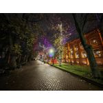 Zdjęcia użytkowników Honor Magic V5