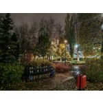 Zdjęcia użytkowników Honor Magic V5