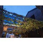 Zdjęcia użytkowników Honor Magic V5