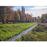 Zdjęcia użytkowników Honor Magic V5