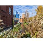 Zdjęcia użytkowników Honor Magic V5