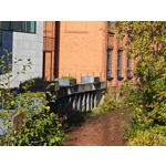 Zdjęcia użytkowników Honor Magic V5