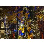 Zdjęcia użytkowników Honor Magic V5