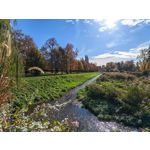 Zdjęcia użytkowników Honor Magic V5