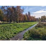 Zdjęcia użytkowników Honor Magic V5