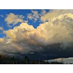 Zdjęcia użytkowników Honor Magic V5