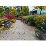 Zdjęcia użytkowników Honor Magic V5