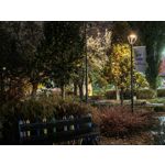 Zdjęcia użytkowników Honor Magic V5