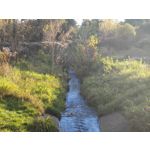 Zdjęcia użytkowników Honor Magic V5