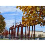 Zdjęcia użytkowników Honor Magic V5