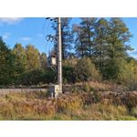 Zdjęcia użytkowników Honor Magic V5