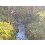 Zdjęcia użytkowników Honor Magic V5