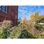 Zdjęcia użytkowników Honor Magic V5