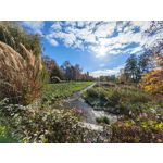 Zdjęcia użytkowników Honor Magic V5