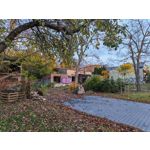 Zdjęcia użytkowników Honor Magic V5