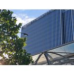 Zdjęcia użytkowników Honor Magic6 Pro