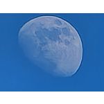 Zdjęcia użytkowników Honor Magic6 Pro