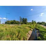 Zdjęcia użytkowników Honor Magic6 Pro