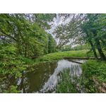 Zdjęcia użytkowników Honor Magic6 Pro