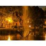 Zdjęcia użytkowników Honor Magic6 Pro