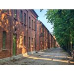 Zdjęcia użytkowników Honor Magic6 Pro