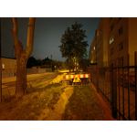 Zdjęcia użytkowników Honor Magic6 Pro